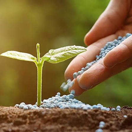 Seeds, Fertilizers & Crop Protection